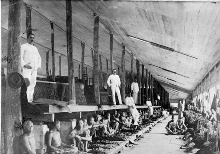 Koleksi Tropenmuseum